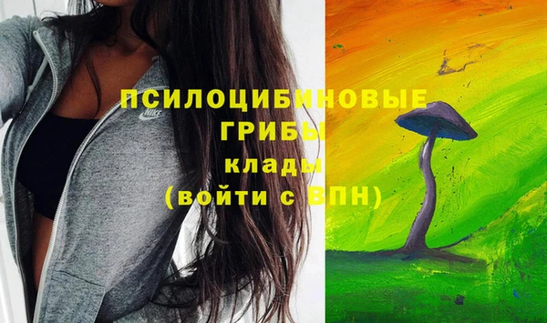 МДПВ Алексин